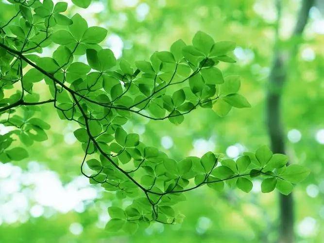 手续费最便宜的期货公司有哪些？交易所加1分吗？