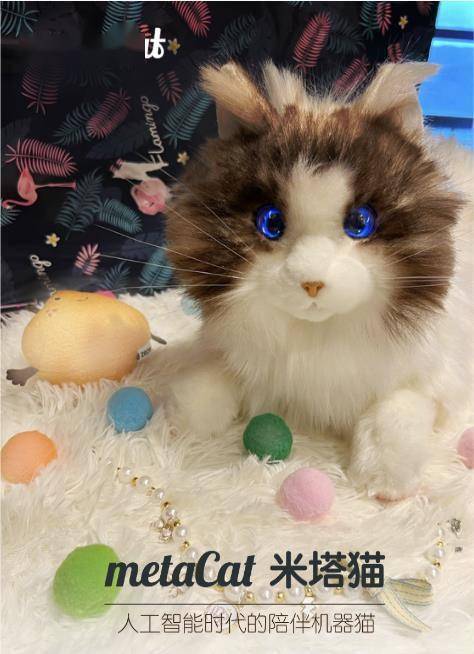 陪伴宠物米塔﻿猫﻿metaCat超萌上线，硬科技也可以柔软治愈