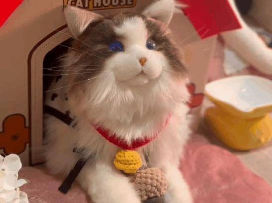 陪伴宠物米塔﻿猫﻿metaCat超萌上线，硬科技也可以柔软治愈