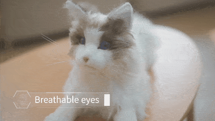陪伴宠物米塔﻿猫﻿metaCat超萌上线，硬科技也可以柔软治愈