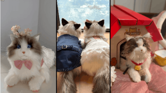 陪伴宠物米塔﻿猫﻿metaCat超萌上线，硬科技也可以柔软治愈