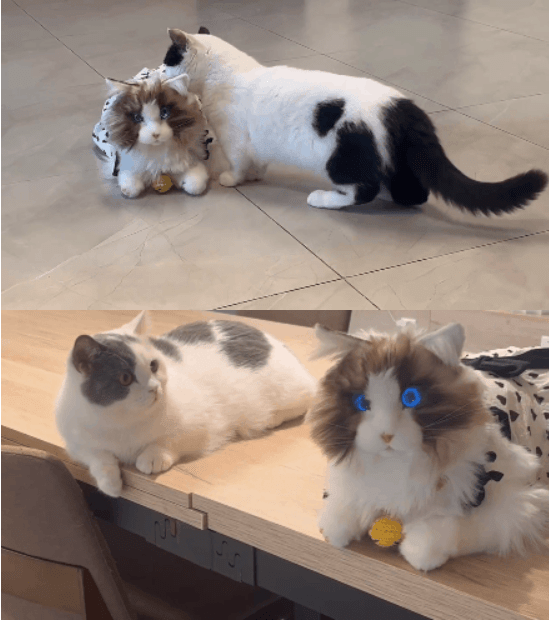 陪伴宠物米塔﻿猫﻿metaCat超萌上线，硬科技也可以柔软治愈
