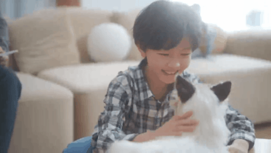 陪伴宠物米塔﻿猫﻿metaCat超萌上线，硬科技也可以柔软治愈