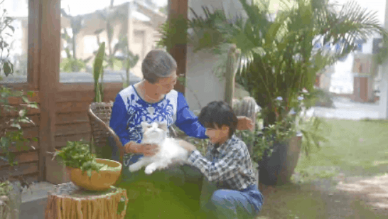 陪伴宠物米塔﻿猫﻿metaCat超萌上线，硬科技也可以柔软治愈