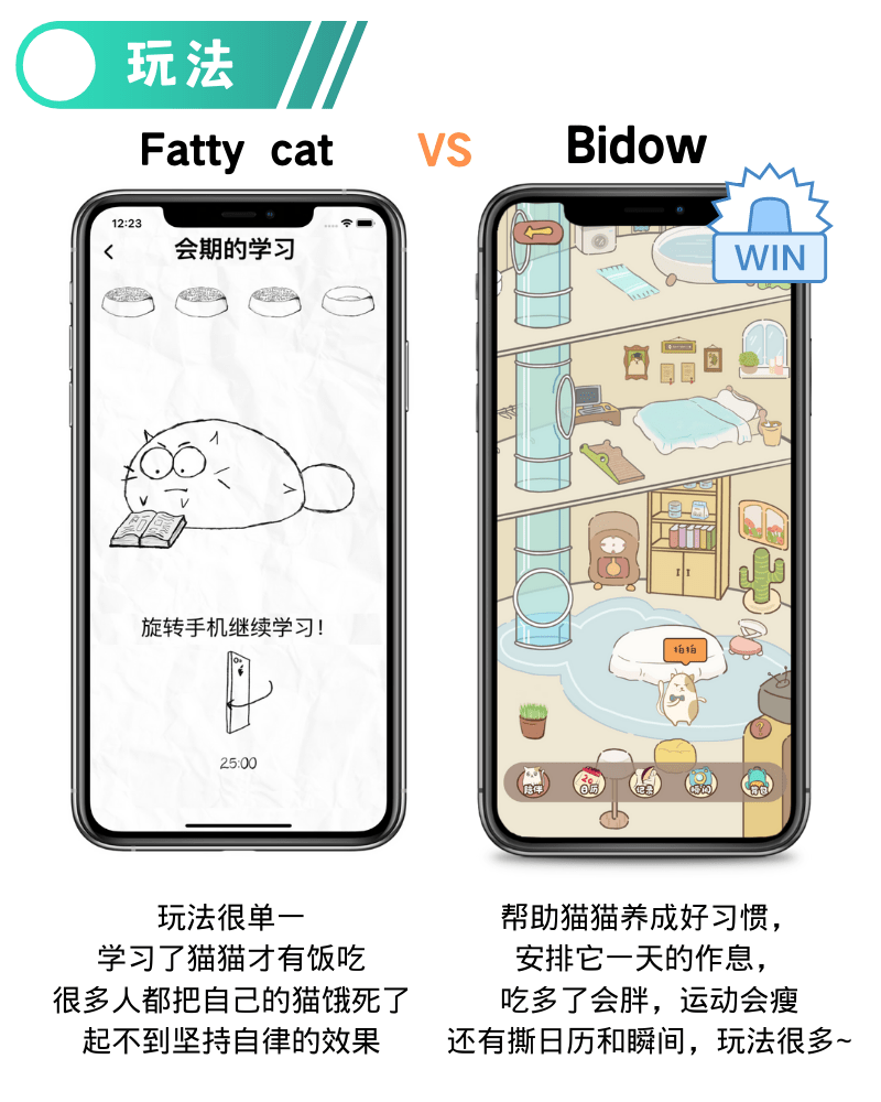 同样有一只胖猫，国外的Fatty cat和国内的Bidow到底哪个更实用？