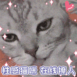 "I love cat"不是"我喜欢猫"！歪果仁会吓坏的！(音频版）