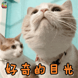 "I love cat"不是"我喜欢猫"！歪果仁会吓坏的！(音频版）