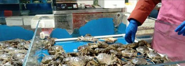 实拍海鲜市场，冷冷清清，但是螃蟹大虾价格仍“傲娇”