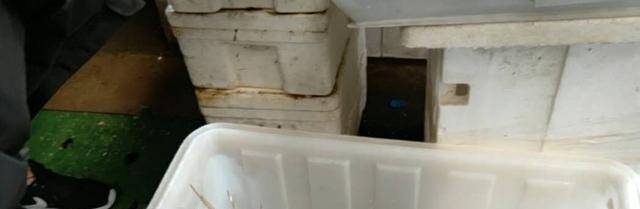 实拍海鲜市场，冷冷清清，但是螃蟹大虾价格仍“傲娇”