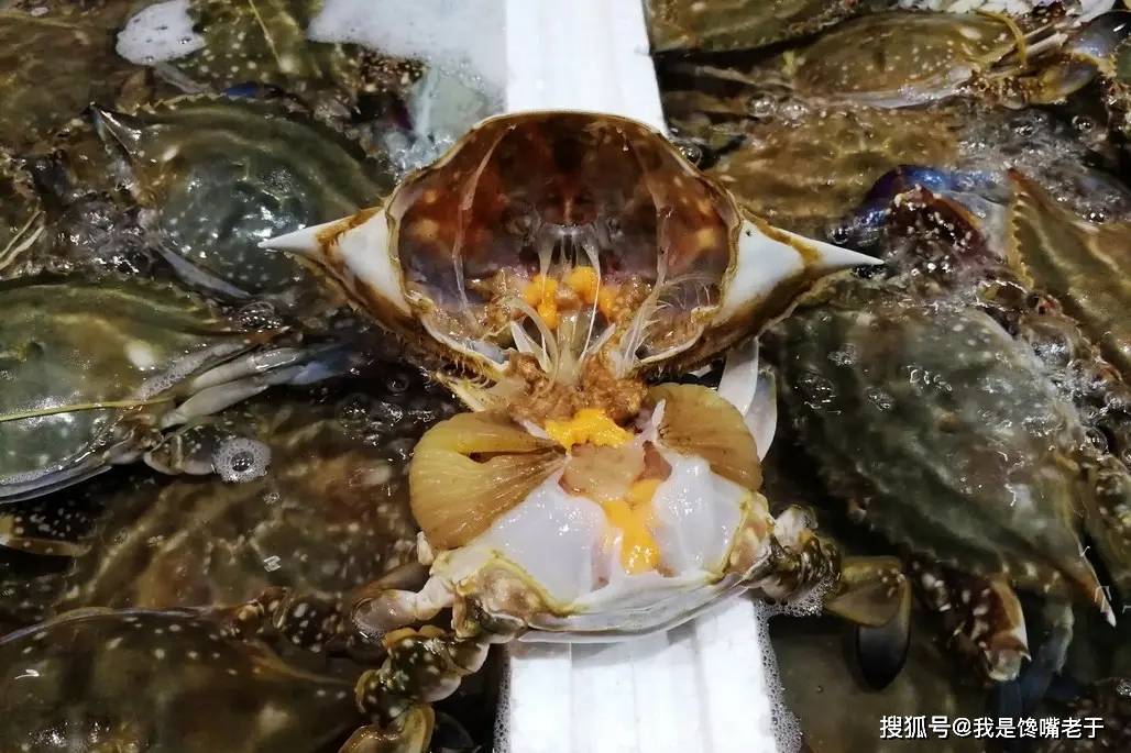 一样是螃蟹，“30和80”元一斤的，有啥区别？知道以后别再乱买了