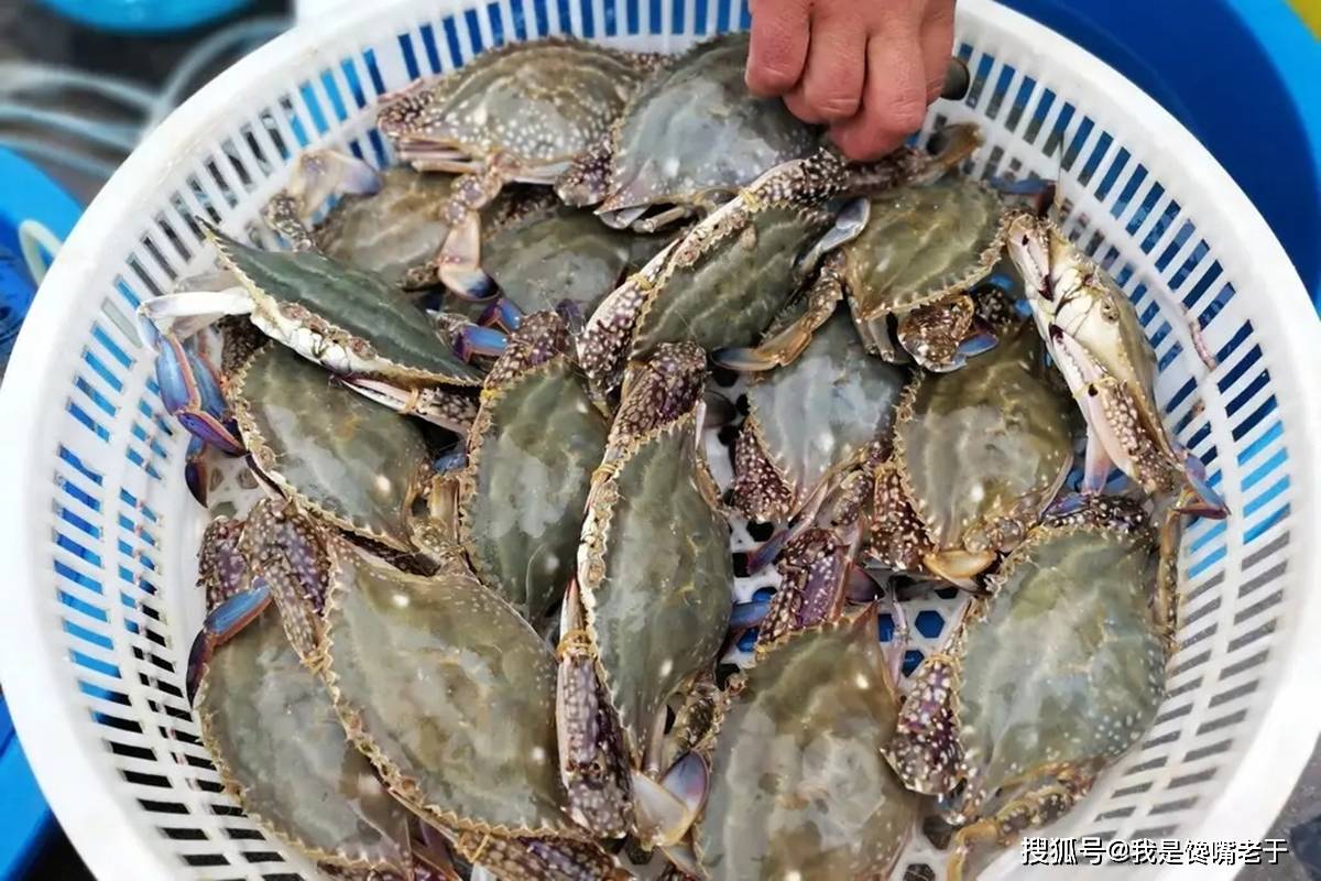 一样是螃蟹，“30和80”元一斤的，有啥区别？知道以后别再乱买了