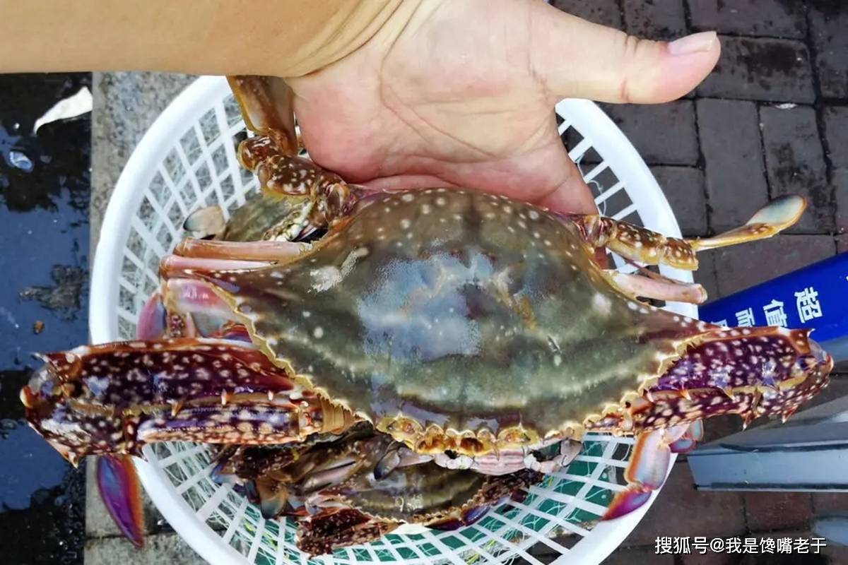 一样是螃蟹，“30和80”元一斤的，有啥区别？知道以后别再乱买了