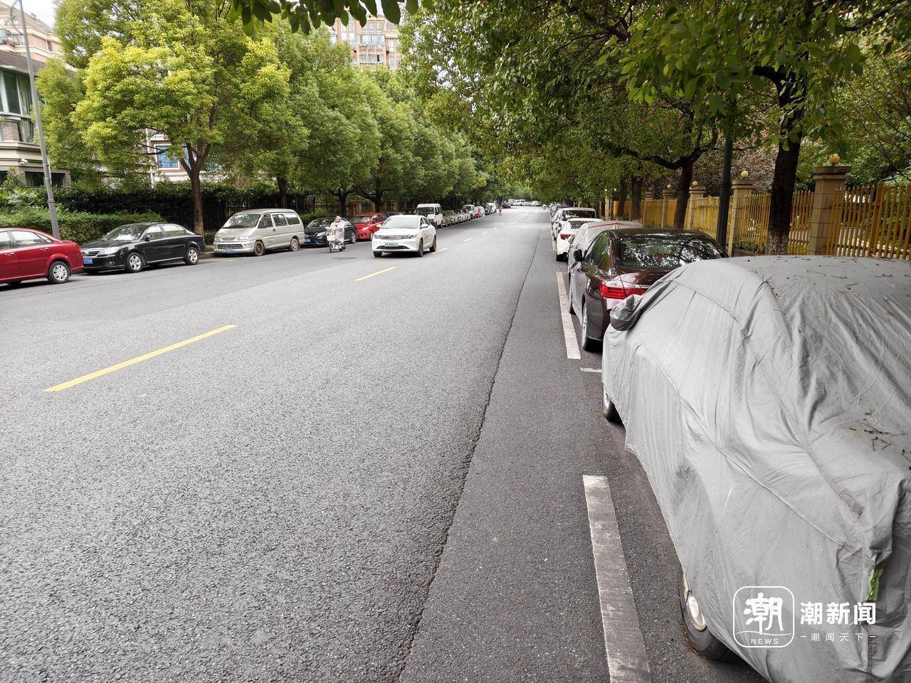 近三成疑似“僵尸车”，杭州这里的路边免费车位缘何成“停车场”