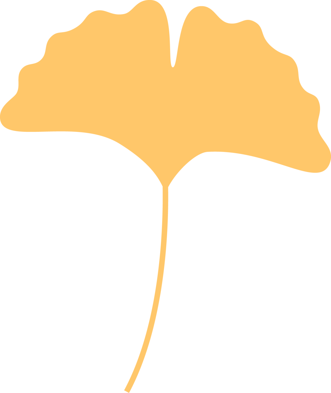 【活动回顾】罗山星悦读“金秋诵章,经典有约”活动圆满落幕