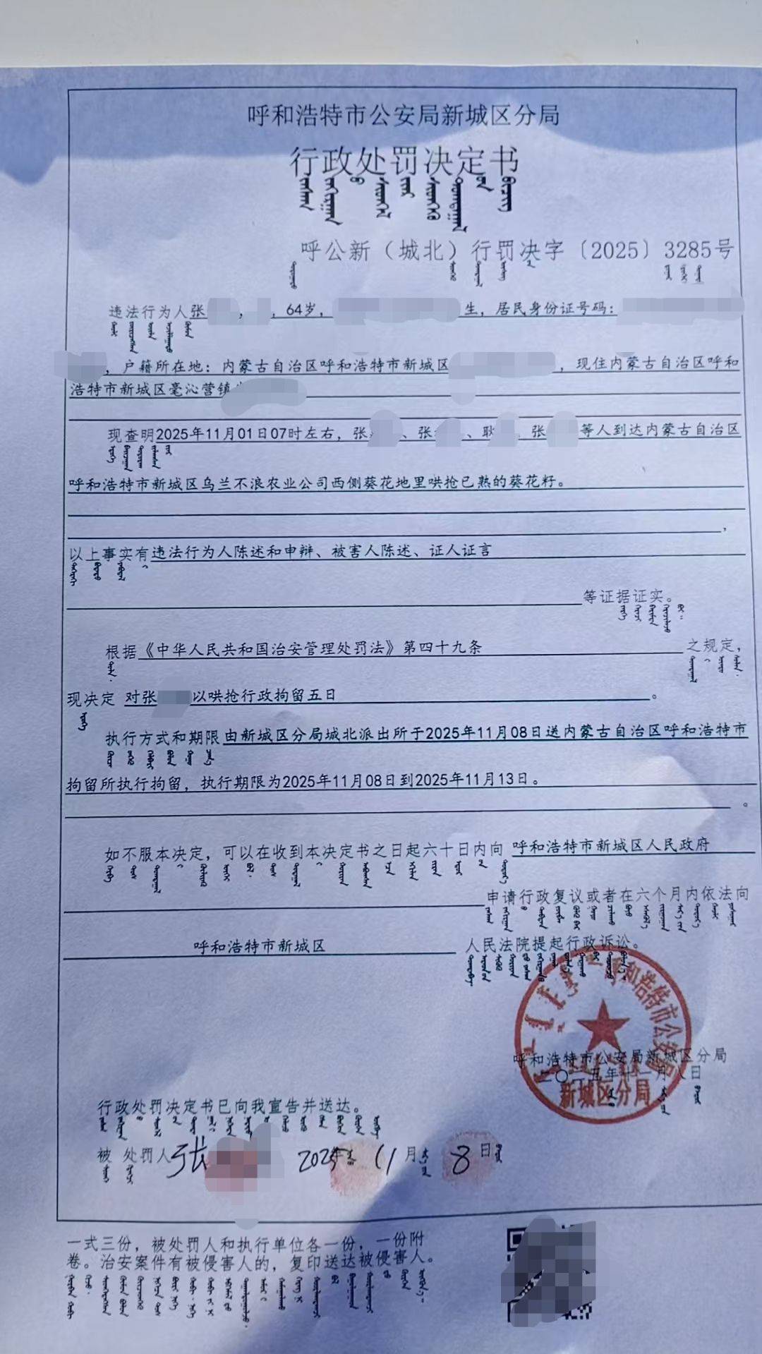 呼和浩特百亩向日葵被70多人哄抢?街道办:疑似缺少值守,被零星采摘发展到群体采摘