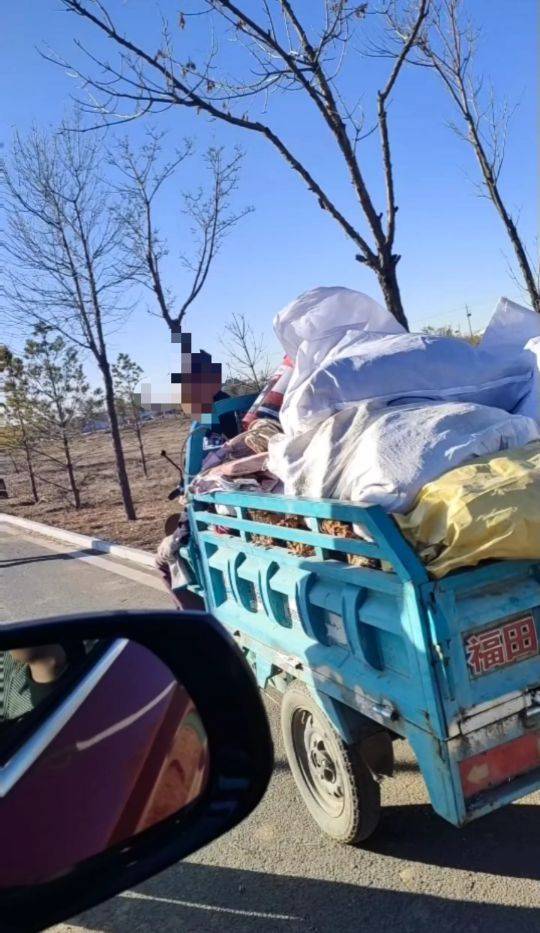 呼和浩特百亩向日葵被70多人哄抢?街道办:疑似缺少值守,被零星采摘发展到群体采摘