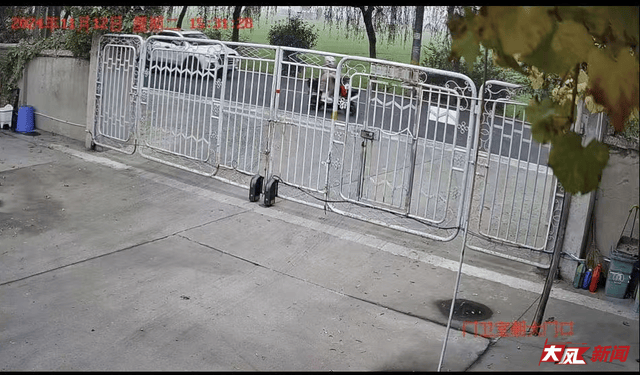 陕西兴平56岁女教师骑电动车“撞树枝”身亡,交警判定担主责,家属提出诸多质疑,多方回应