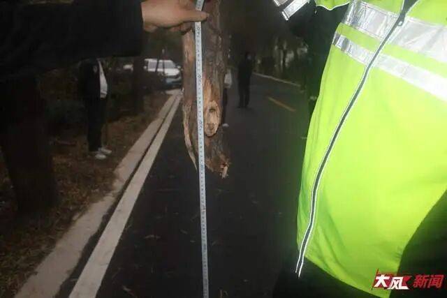 陕西兴平56岁女教师骑电动车“撞树枝”身亡,交警判定担主责,家属提出诸多质疑,多方回应