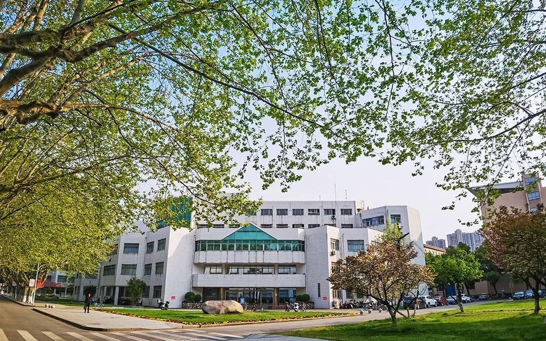 校领导何以成了“首席科学家”专利合作者?|新京报快评