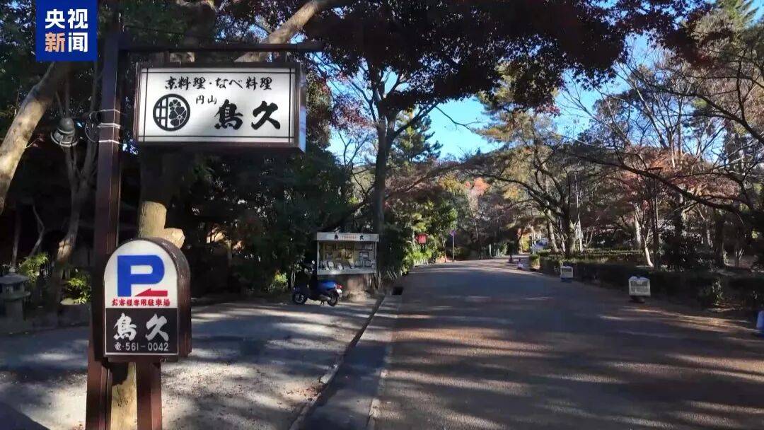 冲上热搜!未来两周,46条中日航线取消全部航班,1月取消班次已超2000个