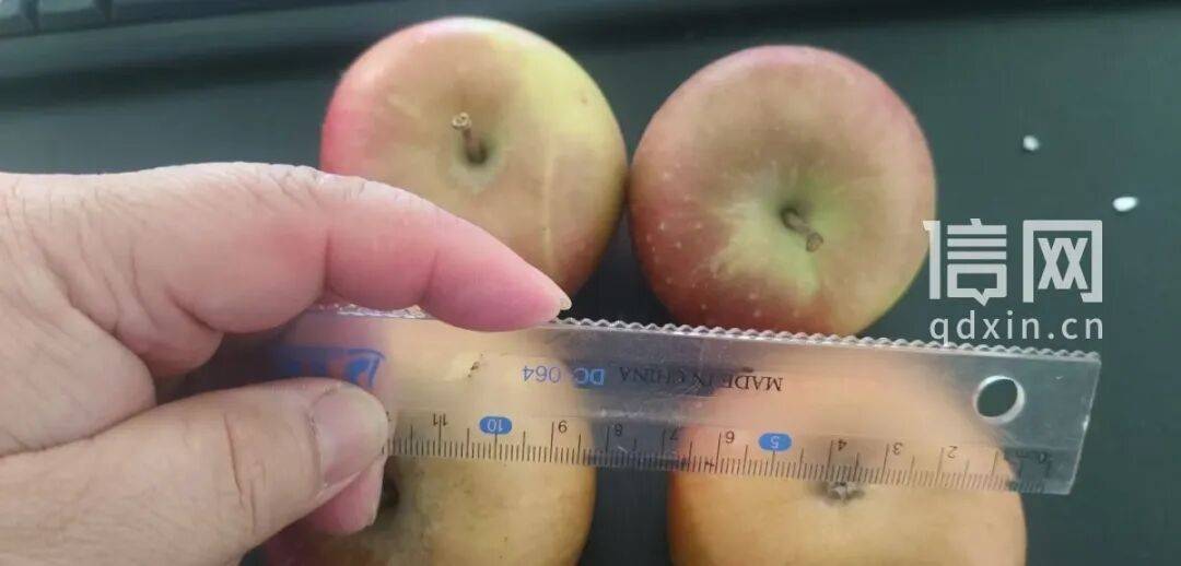直播间卖阿克苏大苹果到手成迷你袖珍果 亿粉主播“蛋蛋”被指玩AB货套路