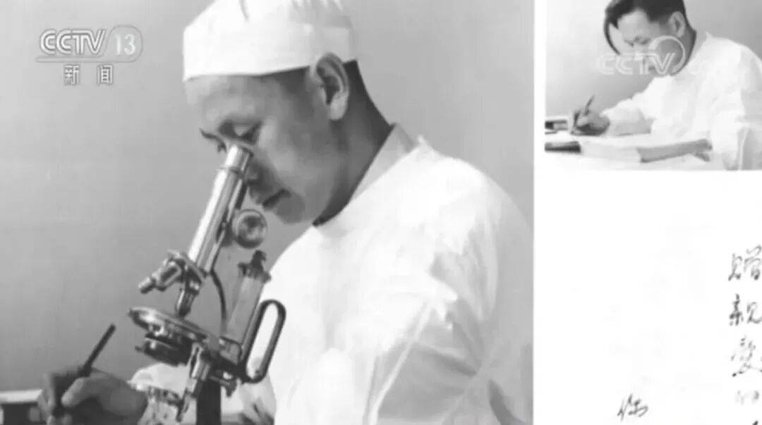 联合国通过决议：纪念“糖丸爷爷”！