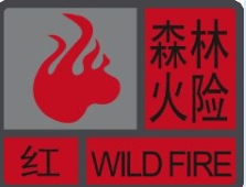 深圳坪山区突发山火,最新通报:明火已扑灭,无人员伤亡