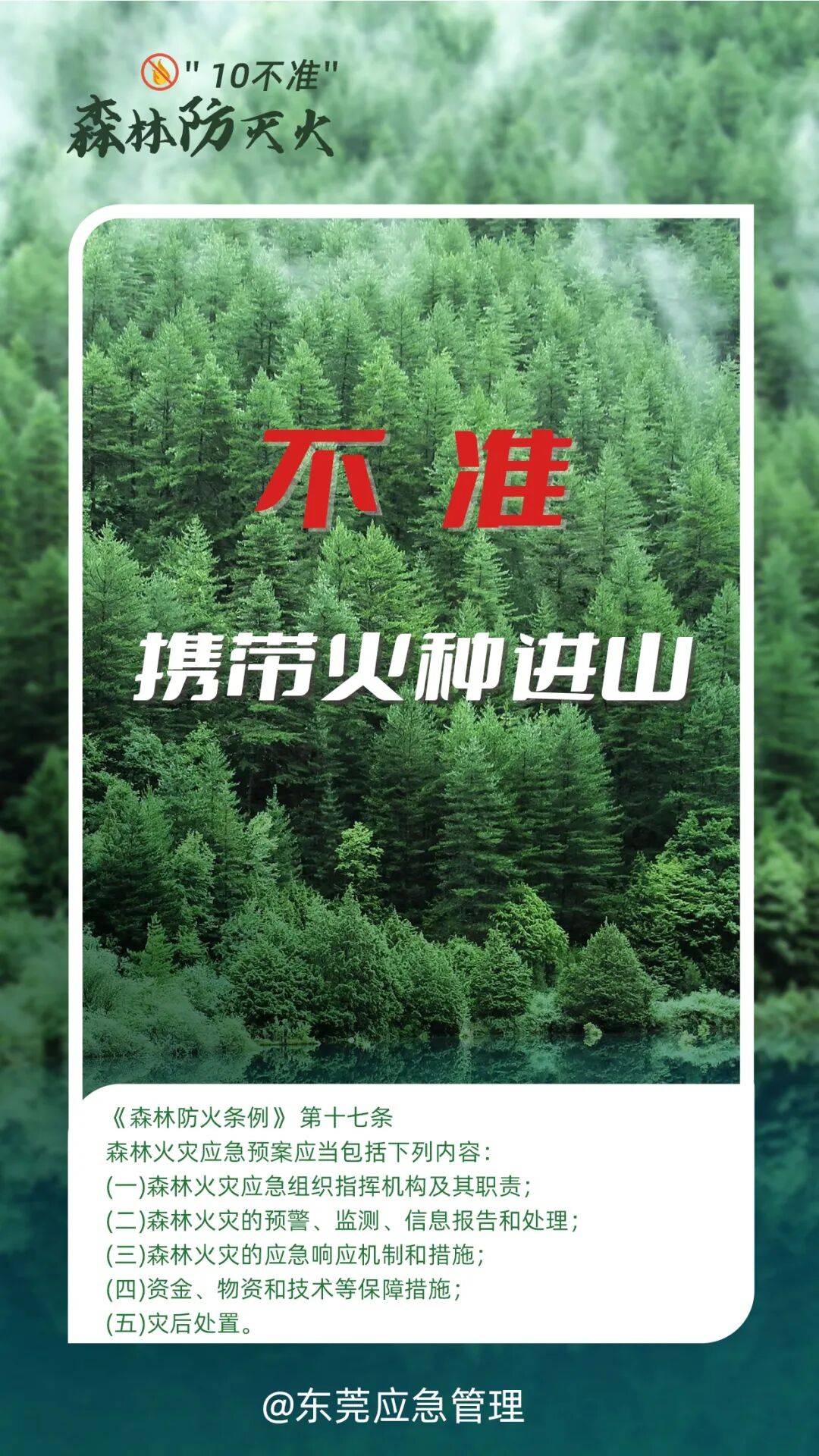 深圳坪山区突发山火,最新通报:明火已扑灭,无人员伤亡