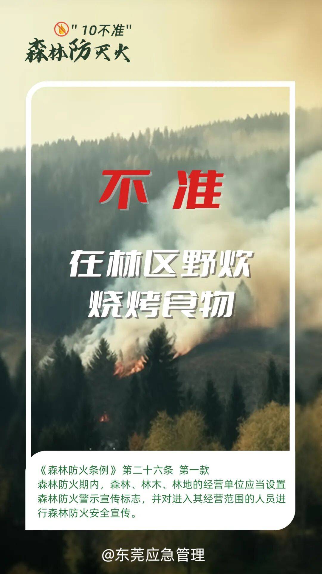 深圳坪山区突发山火,最新通报:明火已扑灭,无人员伤亡