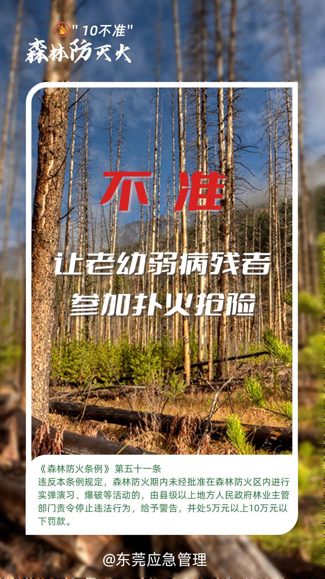 深圳坪山区突发山火,最新通报:明火已扑灭,无人员伤亡