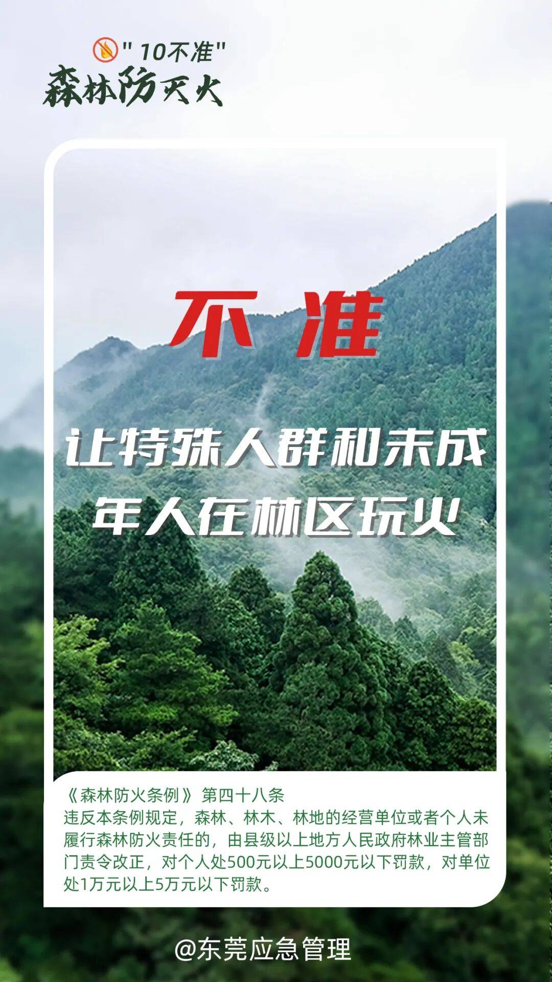 深圳坪山区突发山火,最新通报:明火已扑灭,无人员伤亡