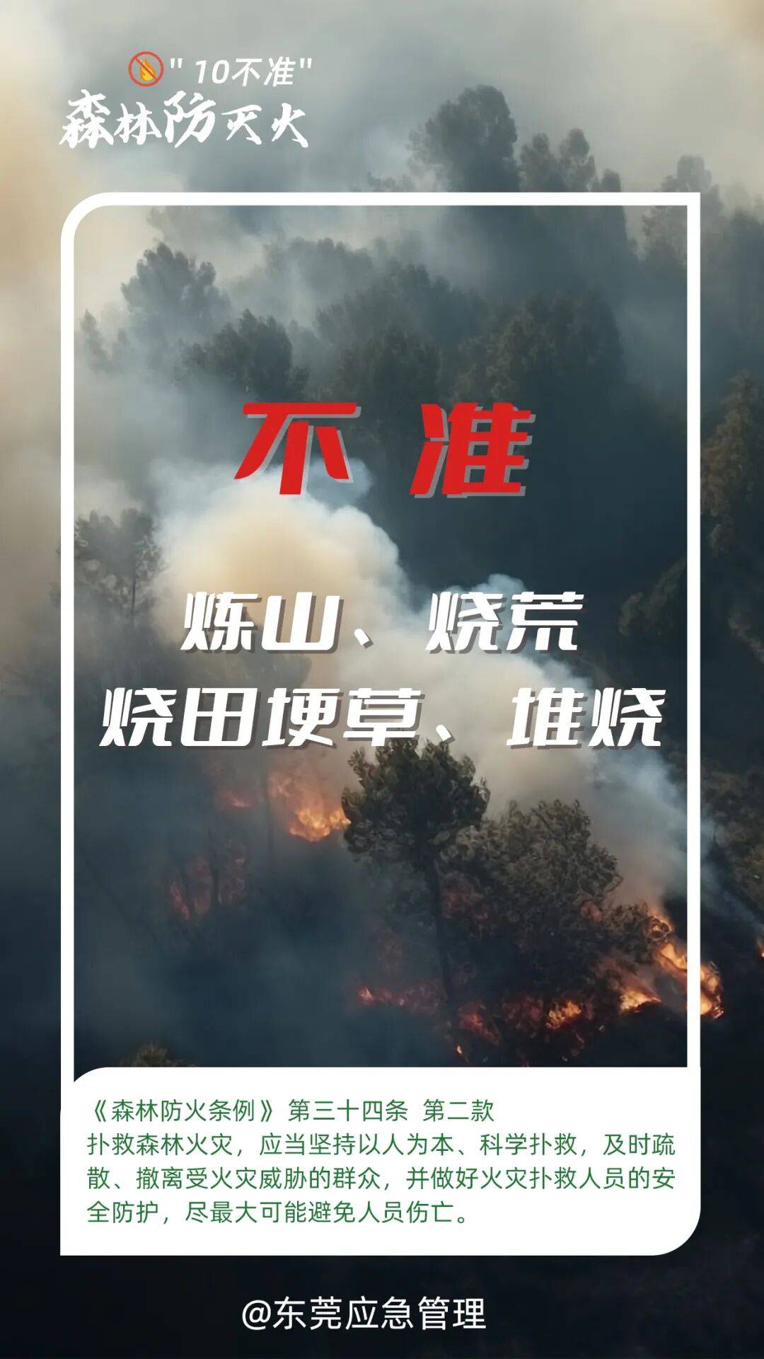 深圳坪山区突发山火,最新通报:明火已扑灭,无人员伤亡