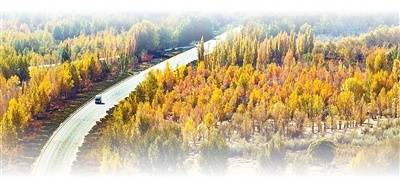 坚持“双碳”引领,推动全面绿色转型(稳中求进、提质增效 实现“十五五”良好开局)